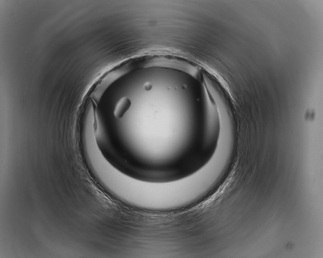 X0000099560973200806061536