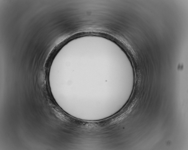 X0000099560974200806061536