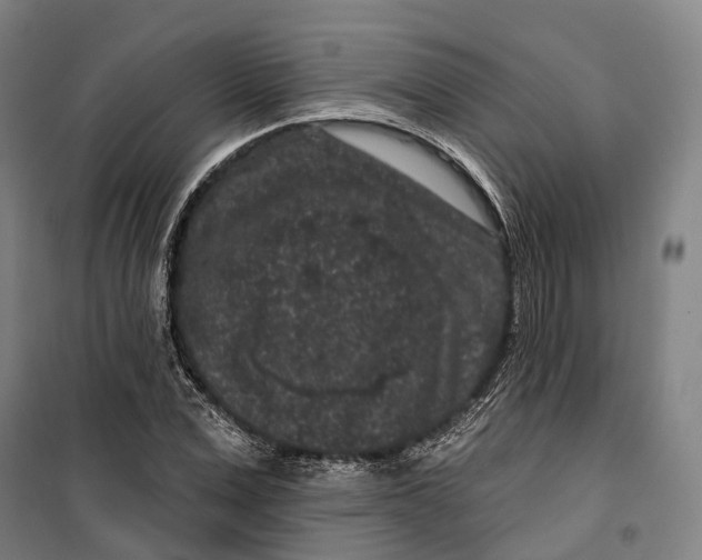 X0000099560975200806061536