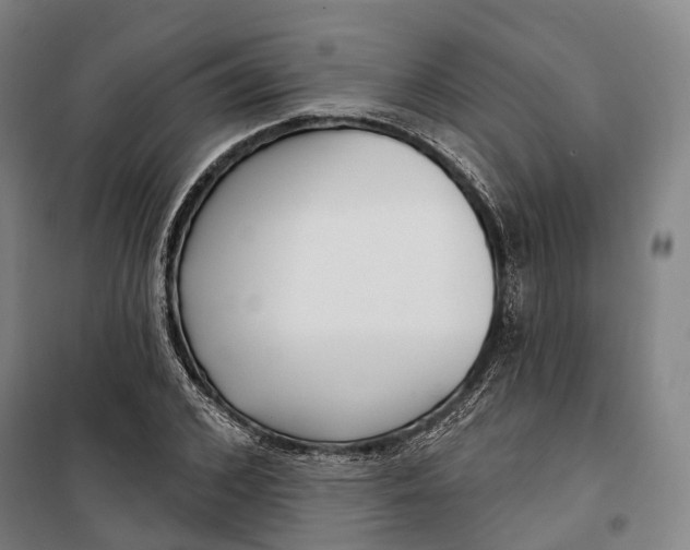 X0000099560976200806061536