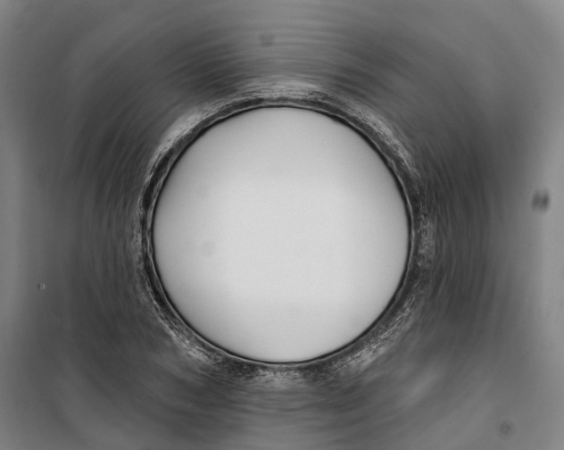 X0000099560978200806061536