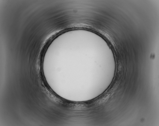 X0000099560979200806061536