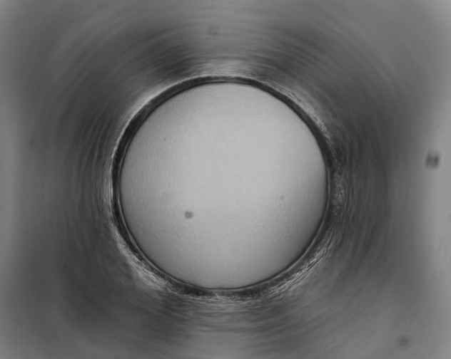 X0000099560980200806061536