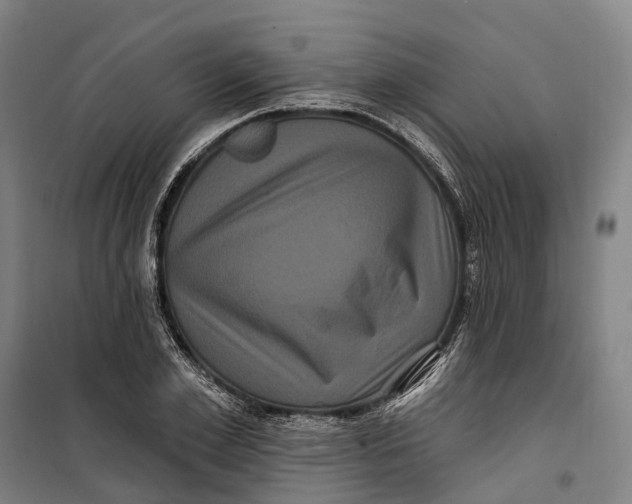 X0000099560981200806061536