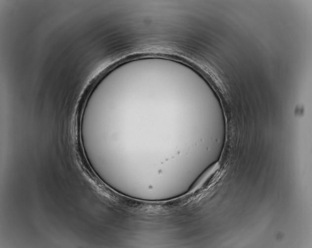 X0000099560982200806061536