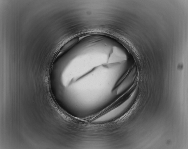 X0000099560985200806061536