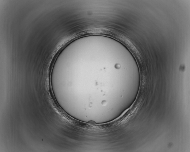 X0000099560986200806061536