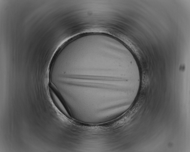 X0000099560988200806061536