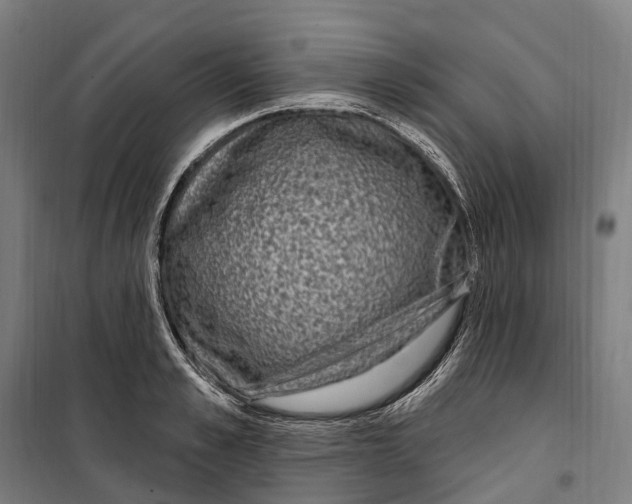 X0000099560989200806061536