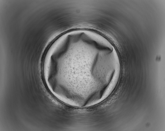 X0000099560990200806061536