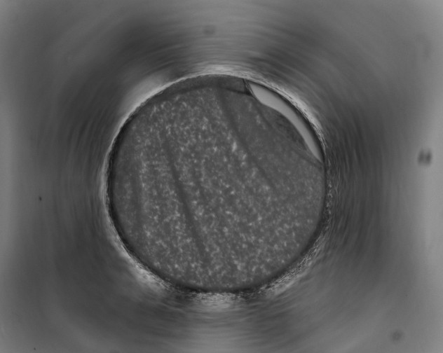 X0000099560991200806061536