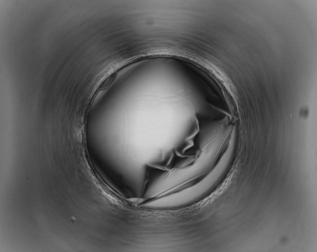 X0000099560993200806061536