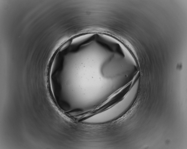 X0000099560997200806061536