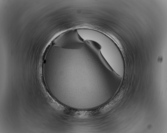 X0000099561000200806061536