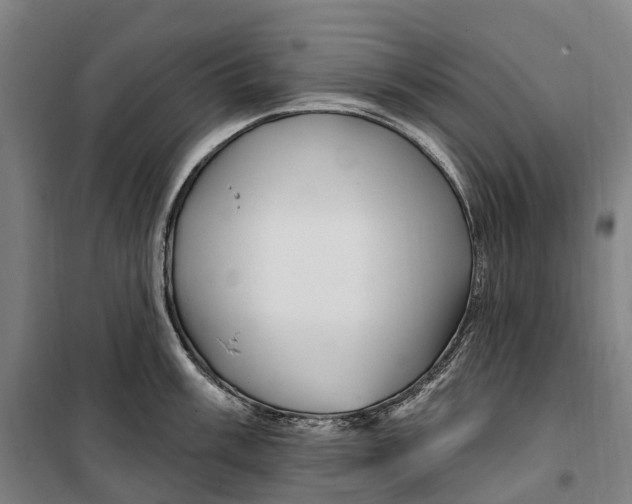 X0000099561003200806061535