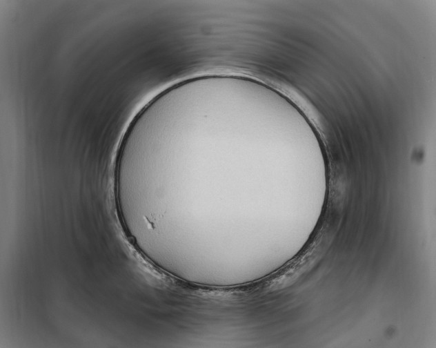 X0000099561004200806061535