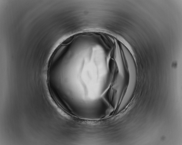 X0000099561005200806061535