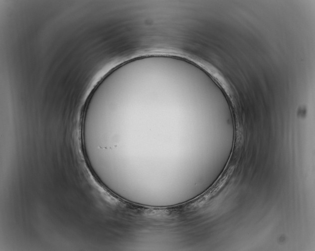 X0000099561006200806061535