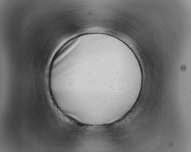 X0000099561008200806061535