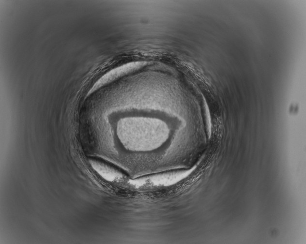 X0000099561009200806061535