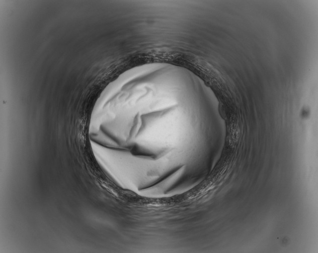 X0000099561010200806061535