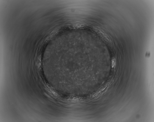 X0000099561011200806061535