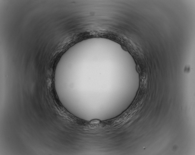 X0000099561012200806061535