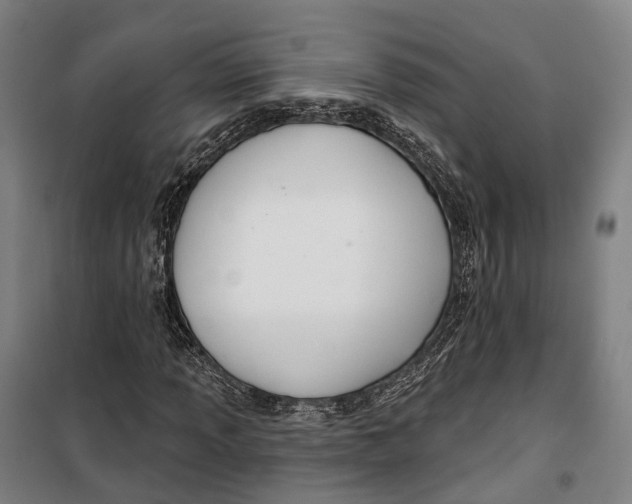 X0000099561013200806061535