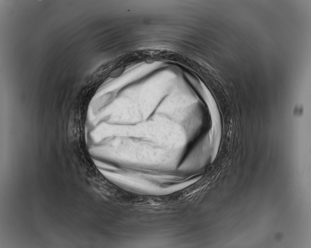 X0000099561014200806061535