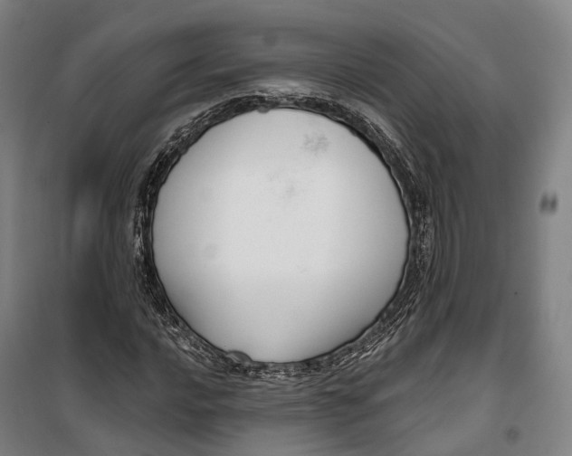 X0000099561016200806061535