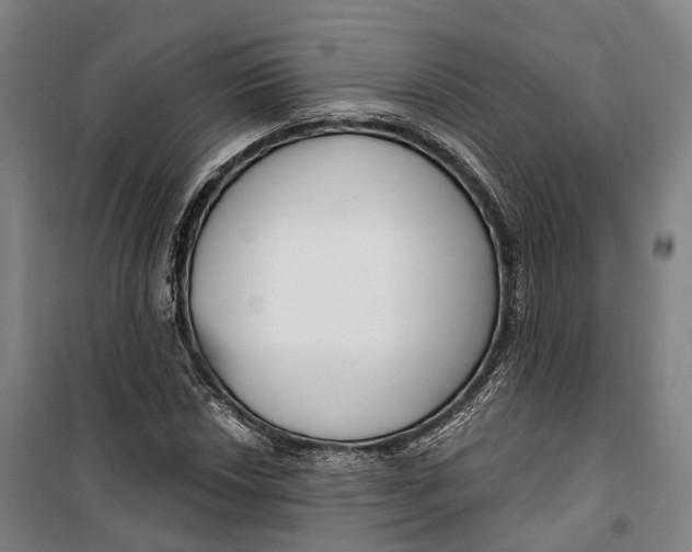 X0000099561018200806061535