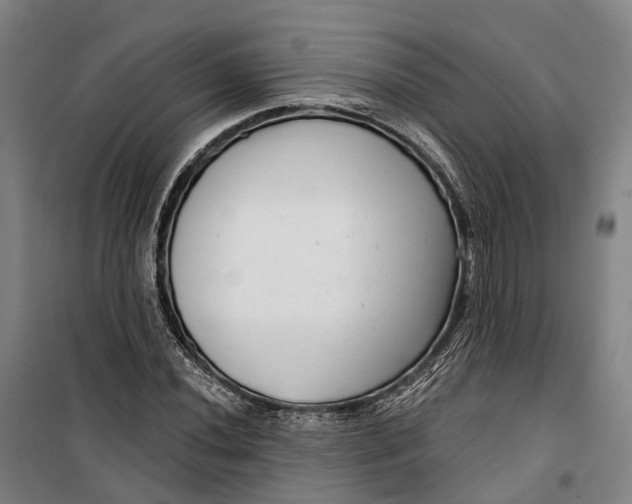 X0000099561020200806061535