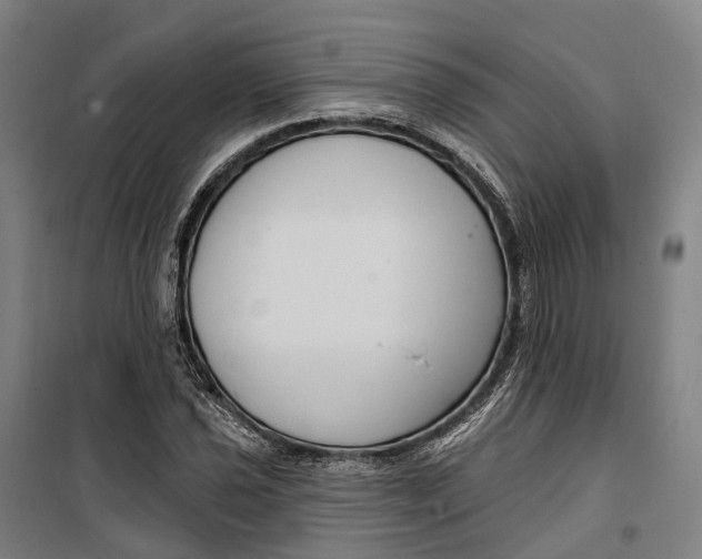 X0000099561021200806061535