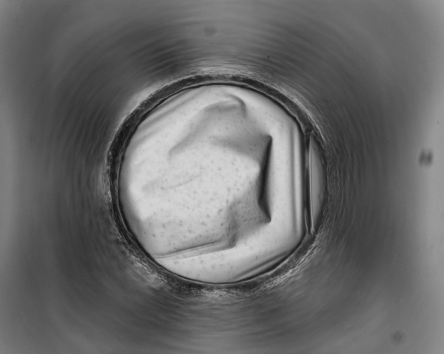 X0000099561022200806061535