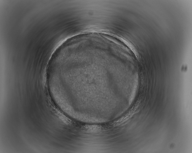 X0000099561023200806061535