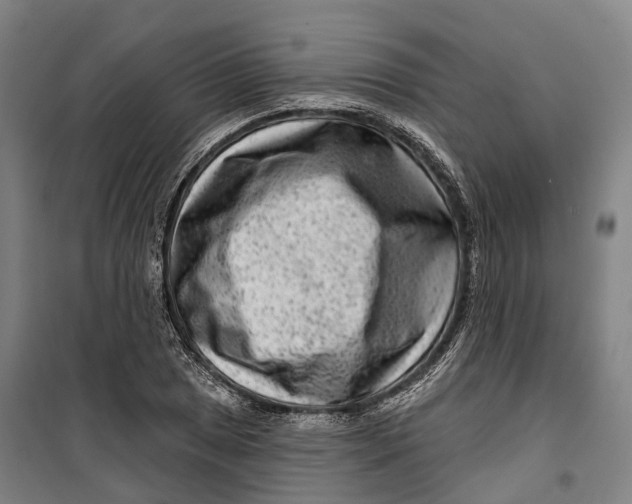 X0000099561025200806061535