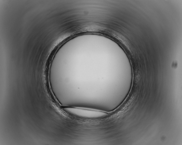 X0000099561026200806061535