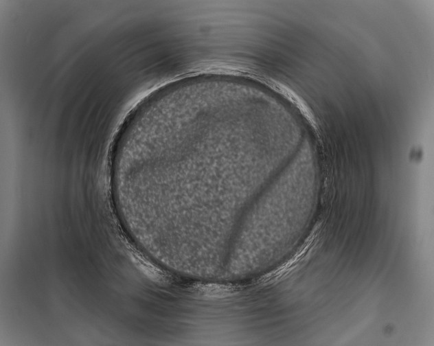 X0000099561027200806061535