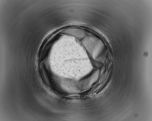 X0000099561029200806061535