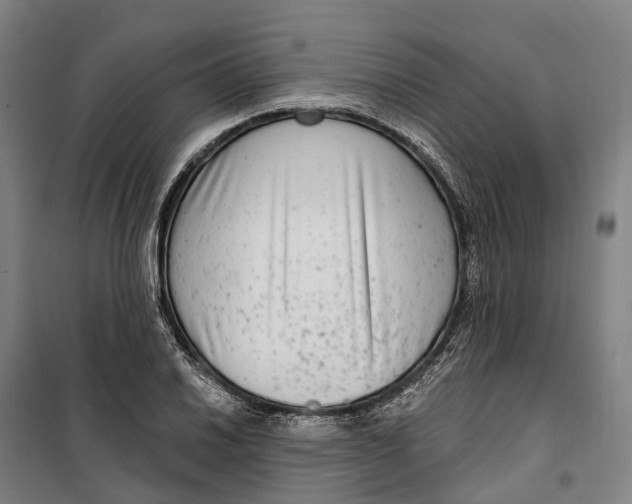 X0000099561030200806061535