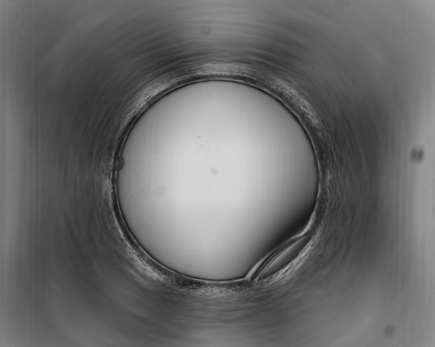 X0000099561033200806061535