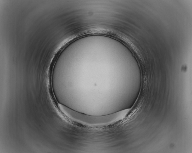 X0000099561034200806061535