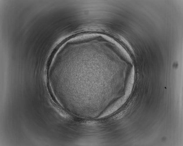 X0000099561035200806061535