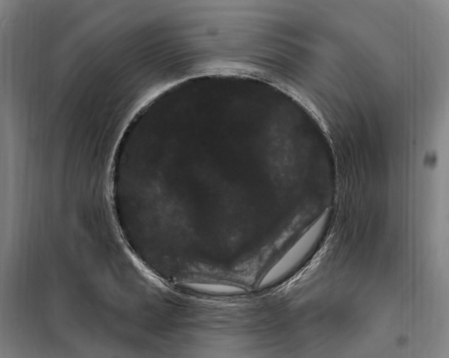 X0000099561037200806061535