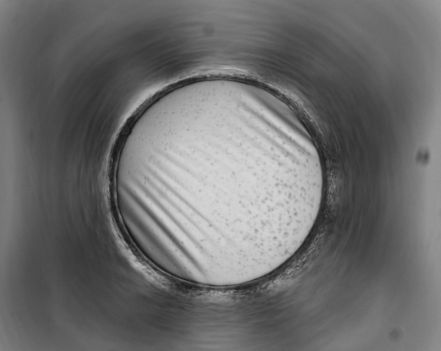 X0000099561038200806061535