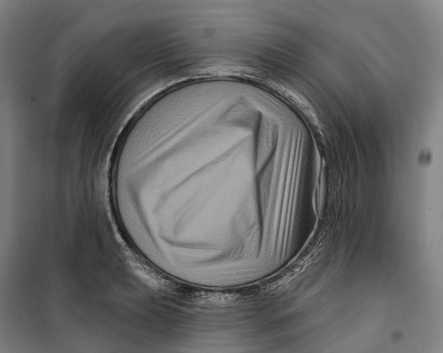 X0000099561039200806061535