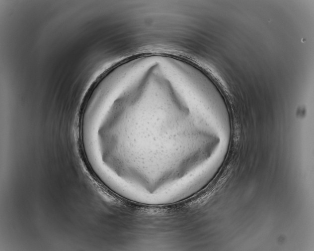 X0000099561040200806061535