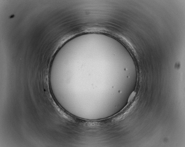 X0000099561041200806061535