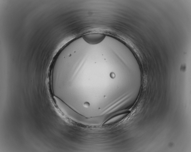 X0000099561042200806061535