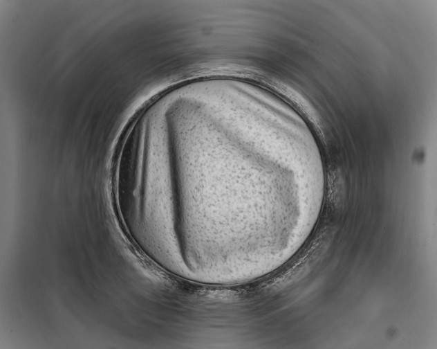 X0000099561043200806061535